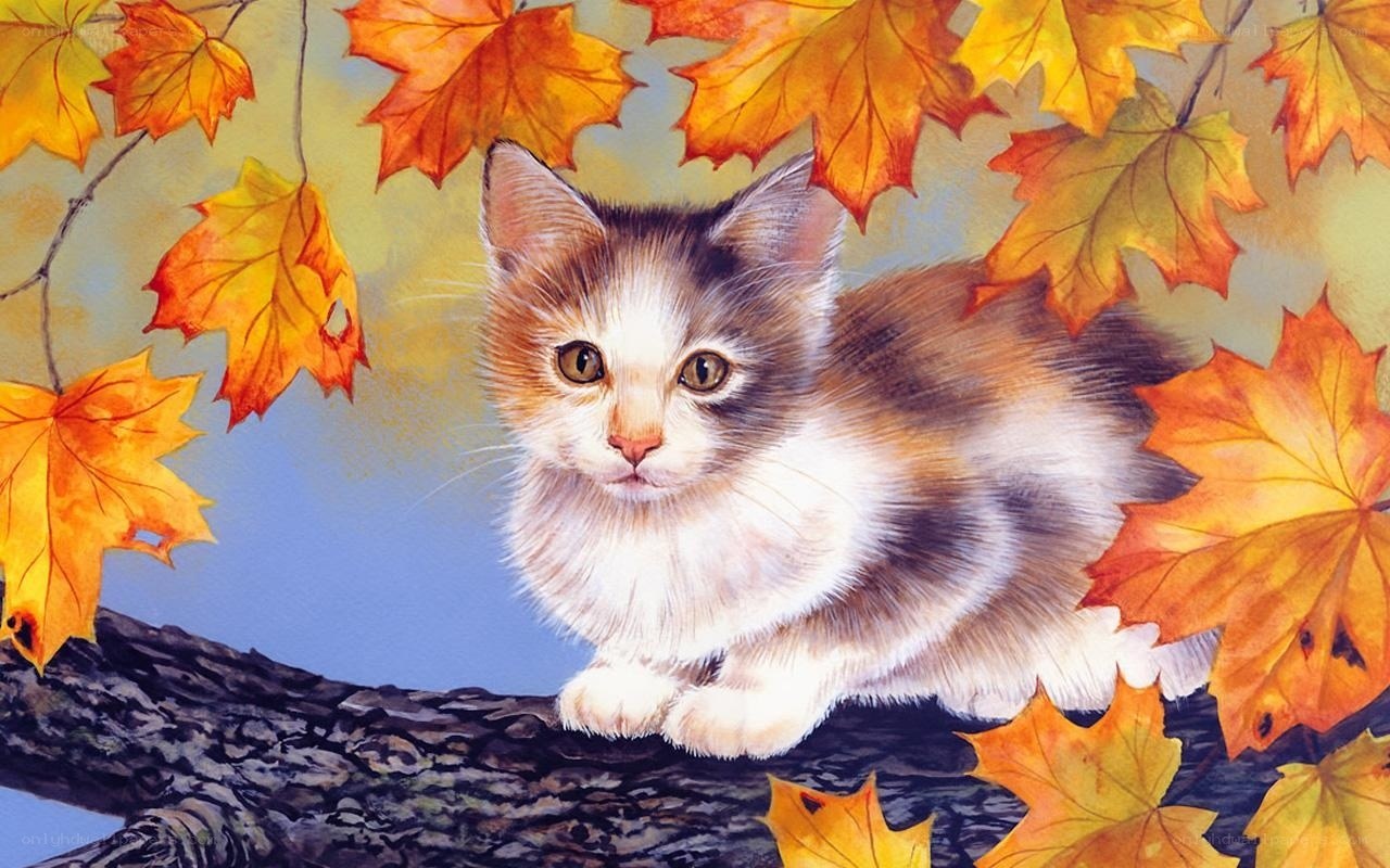kitten on autumn branch