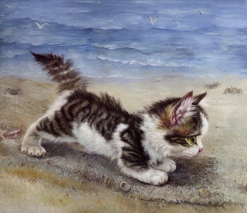 Kitten on Beach — Blue, Calm