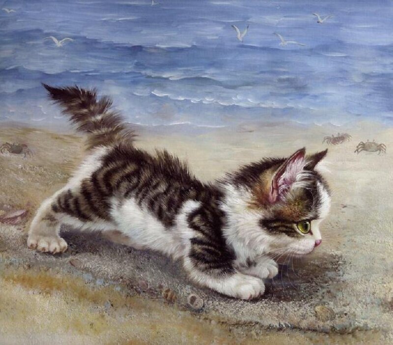 Kitten on Beach — Blue