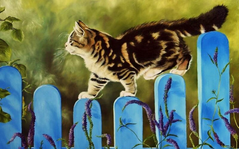 Kitten on Blue Fence — Calm, Afternoon, Painting