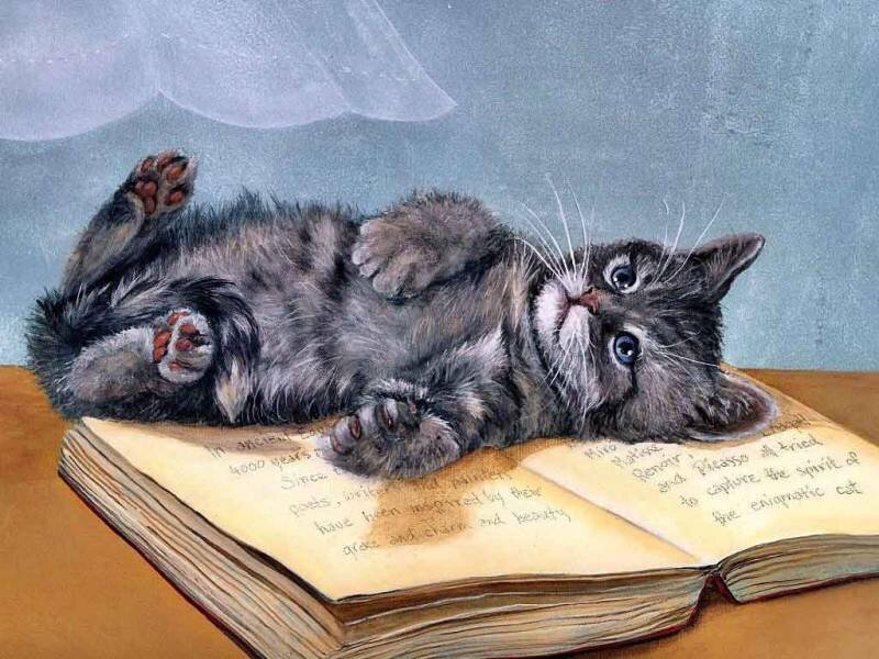 Kitten on Book — Gray