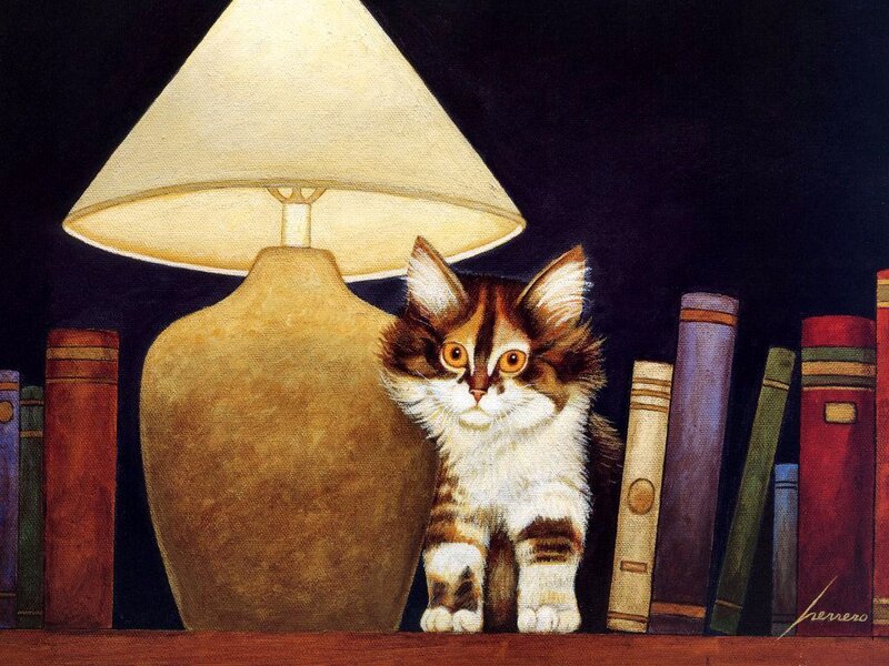 Kitten on Bookshelf