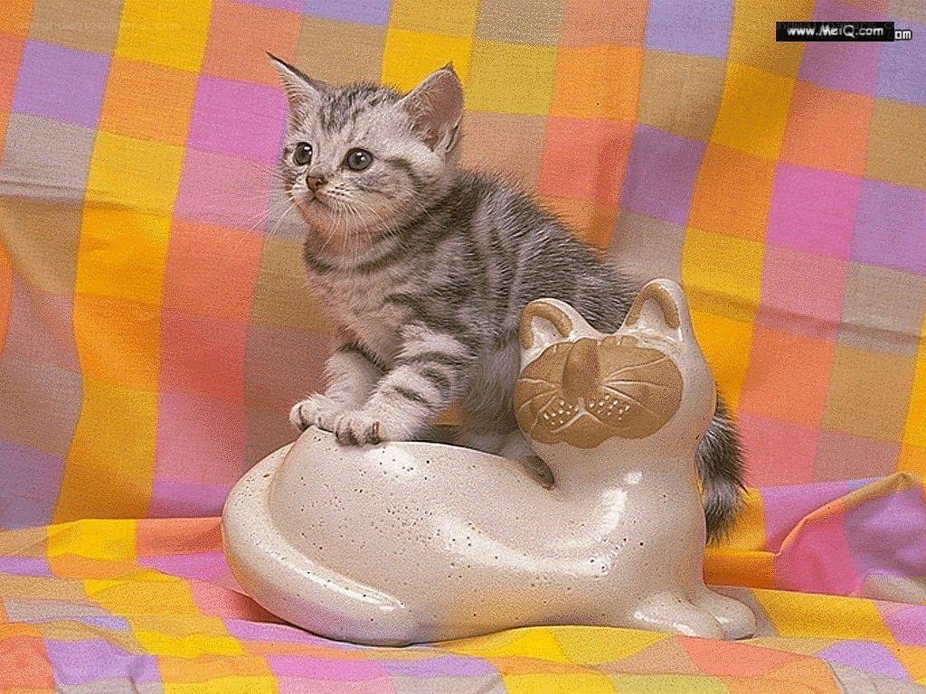 kitten on ceramic cat