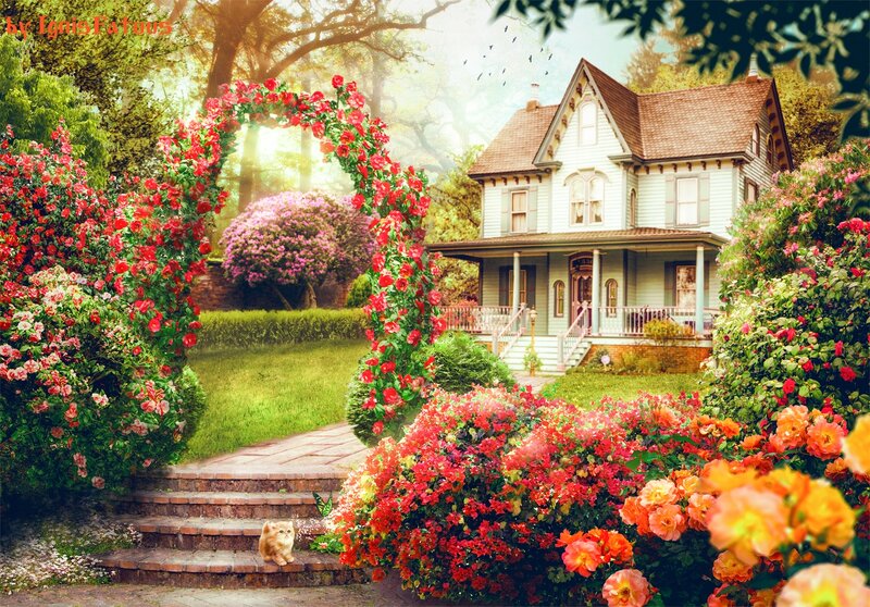 Kitten on Garden Steps