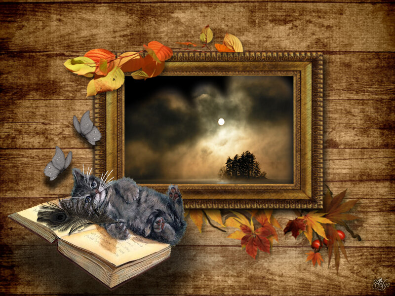 Kitten on Open Book — Brown