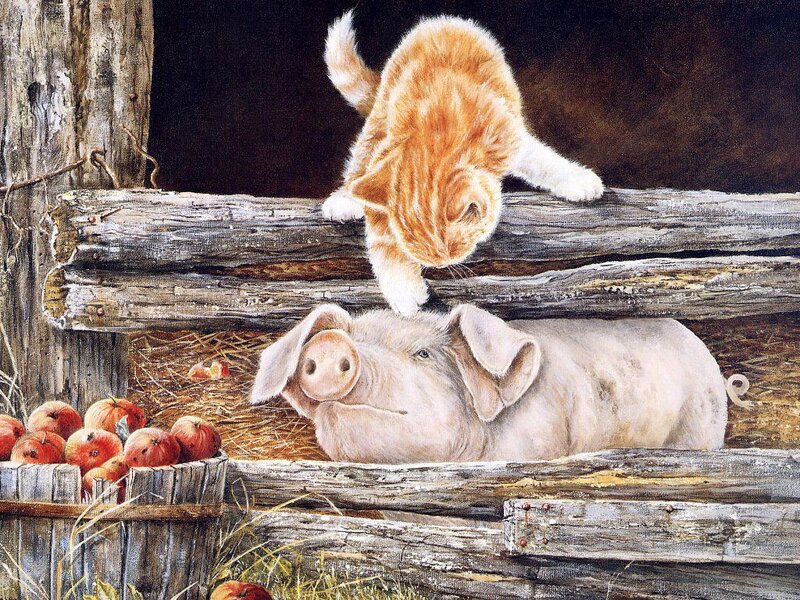 Kitten on Pig