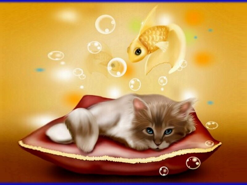 Kitten on Red Pillow