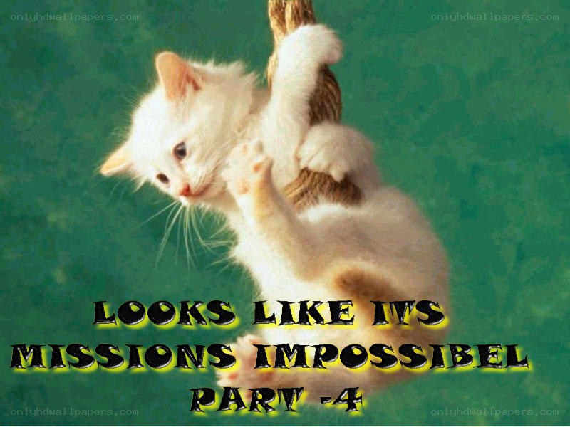 kitten on rope meme
