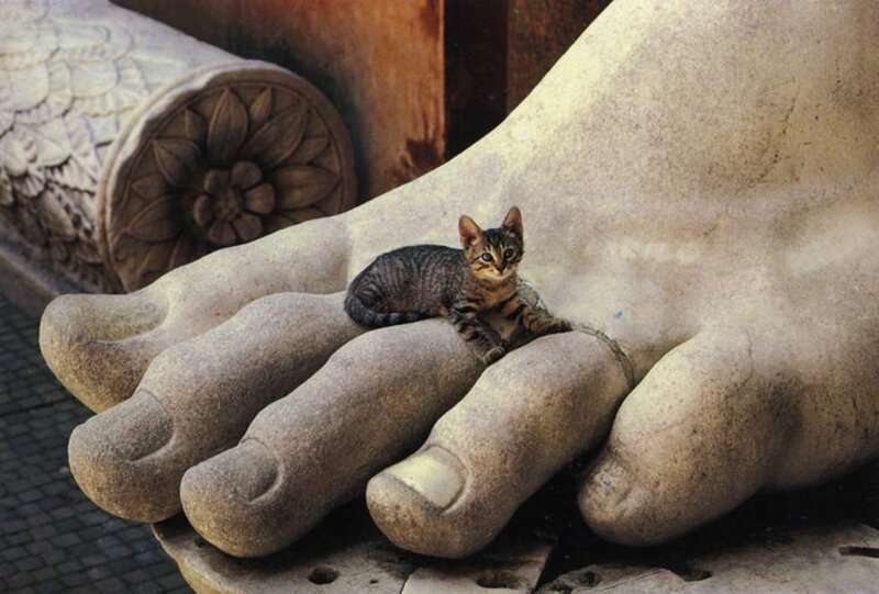 Kitten on Statue Foot
