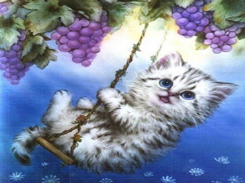 Kitten on Swing