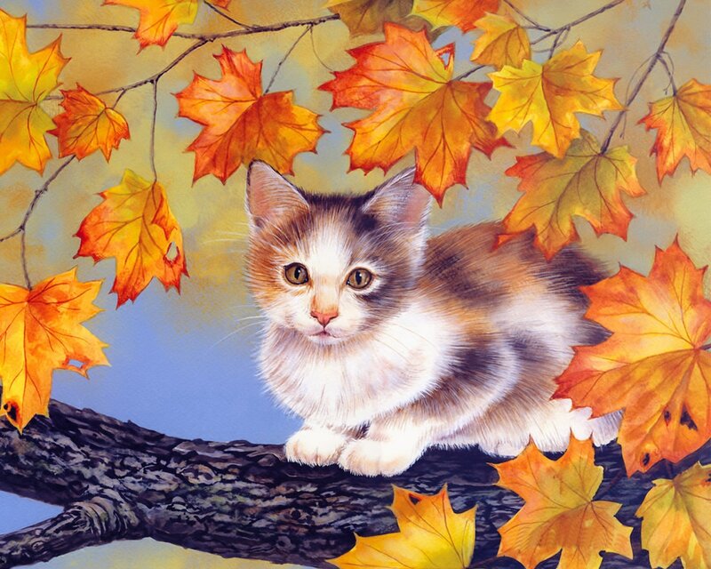 Kitten on Tree Branch — Orange, Serene