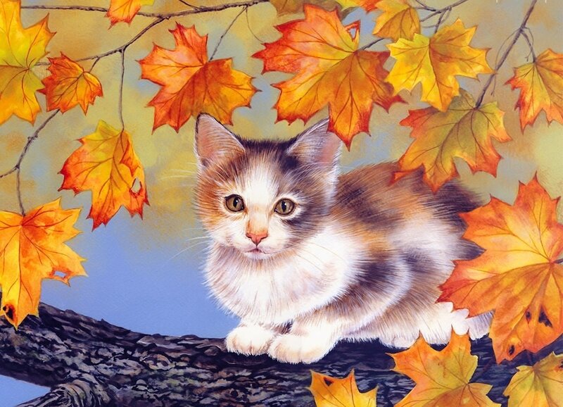 Kitten on Tree Branch — Orange