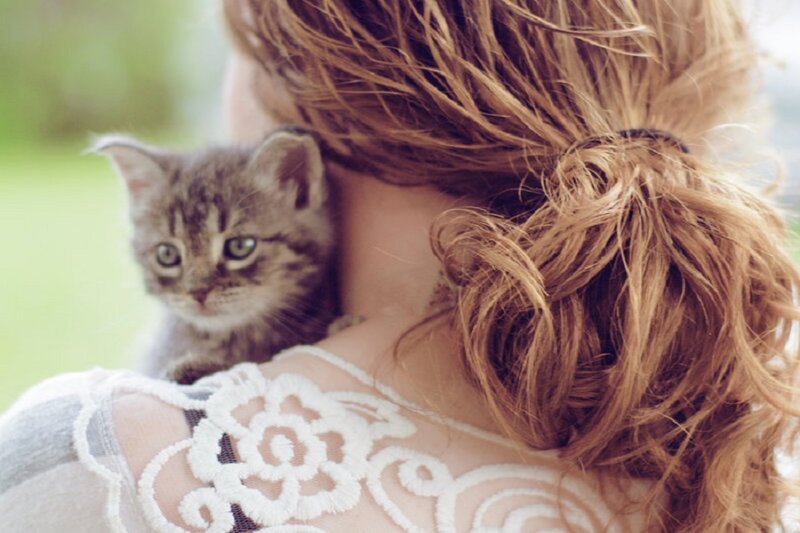 Kitten on Woman's Shoulder