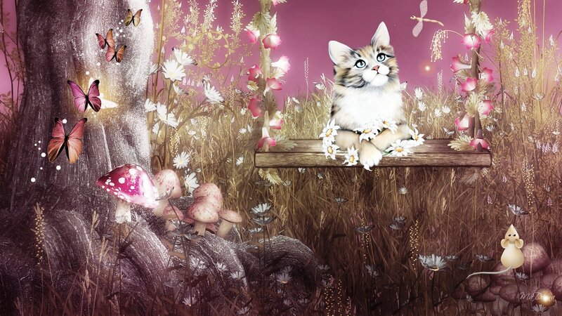 Kitten on Wooden Bench — Purple