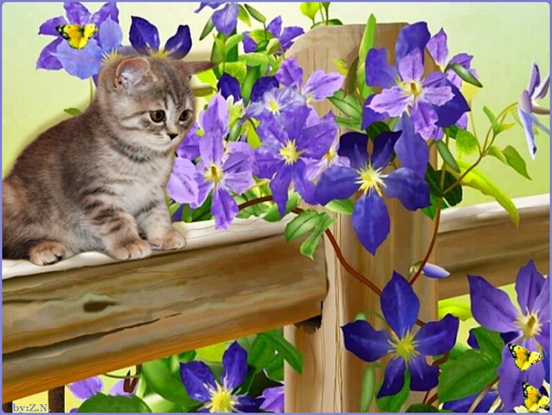 Kitten on Wooden Railing
