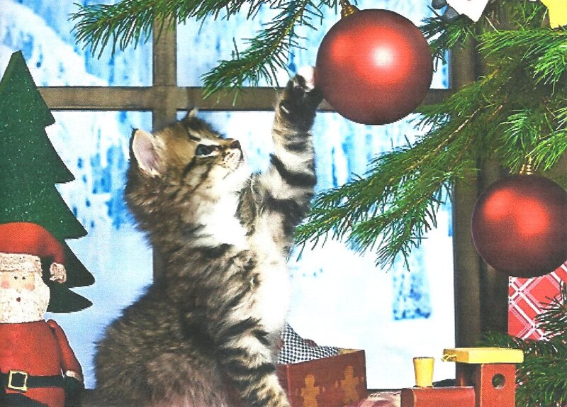 Kitten Playing with Ornaments — Green