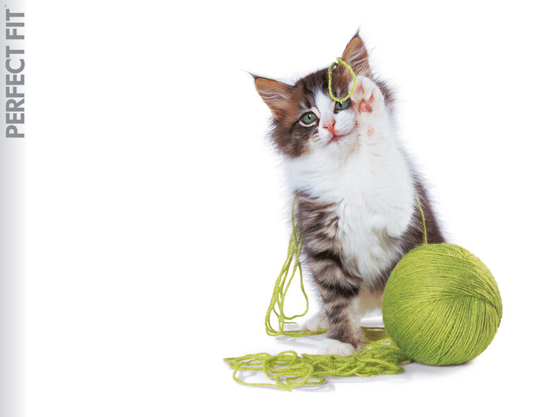 kitten playing with yarn