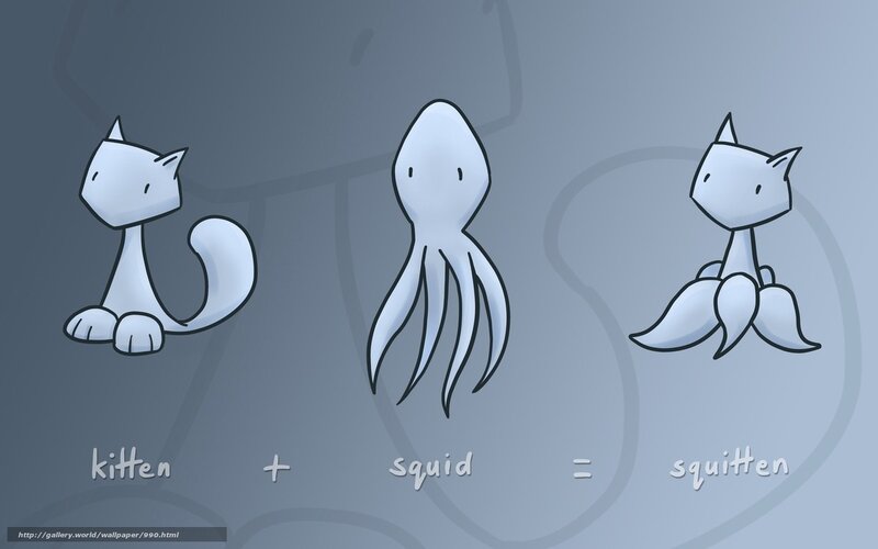 kitten plus squid equals squitten