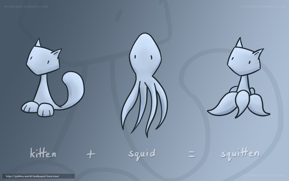 kitten plus squid equals squitten