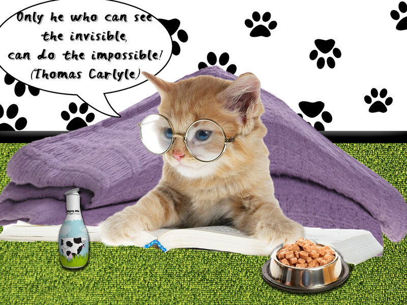 Kitten Reading Book — Purple