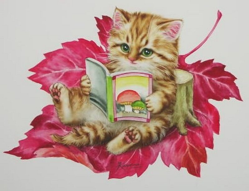 Kitten Reading Book — Red