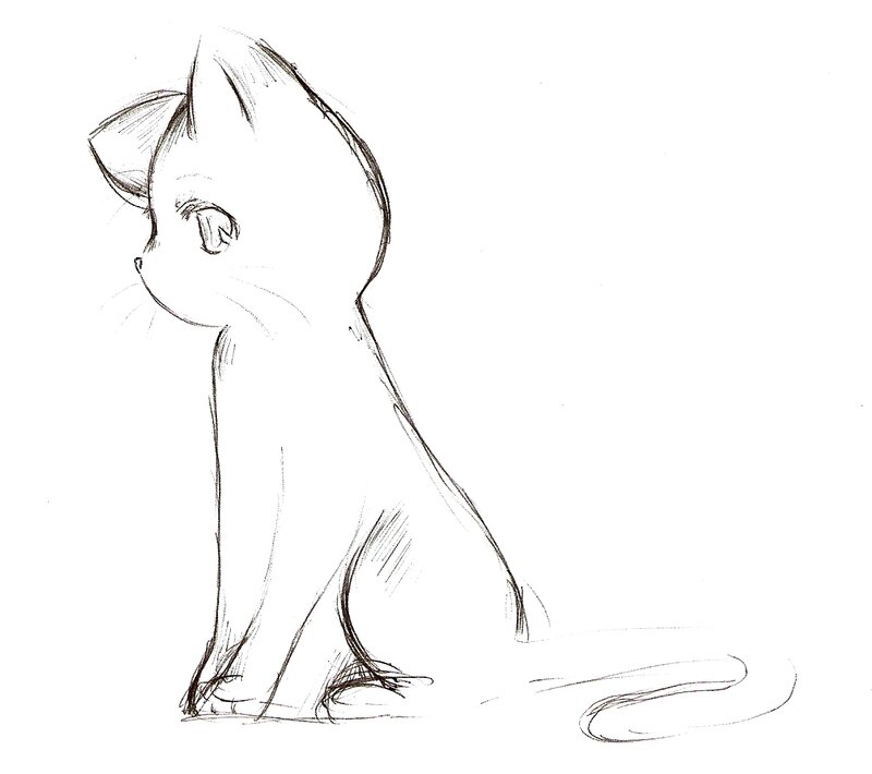 Kitten Sitting in Profile