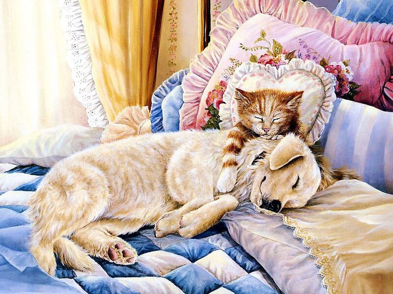Kitten Sleeping on Dog — Blue, Serene
