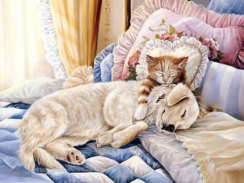 Kitten Sleeping on Dog — Blue
