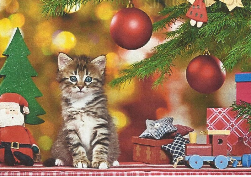 Kitten under Christmas Tree