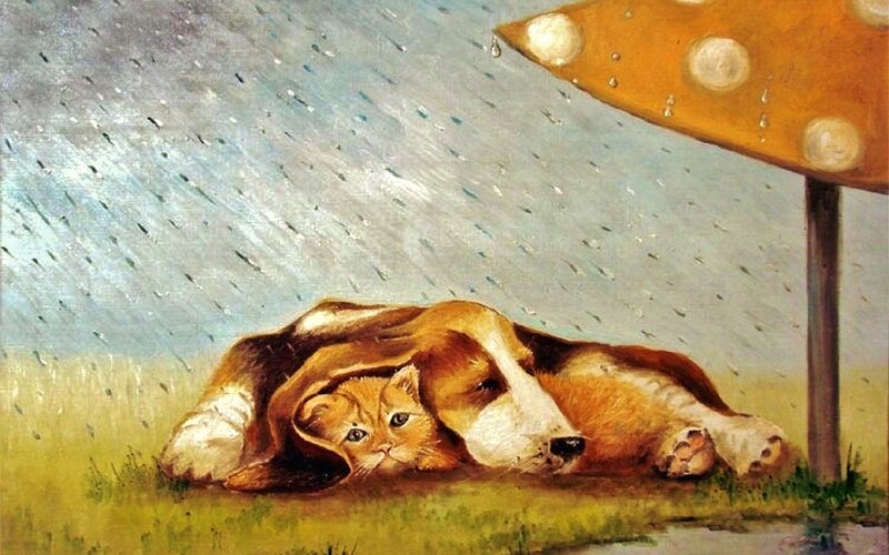 Kitten under Dog
