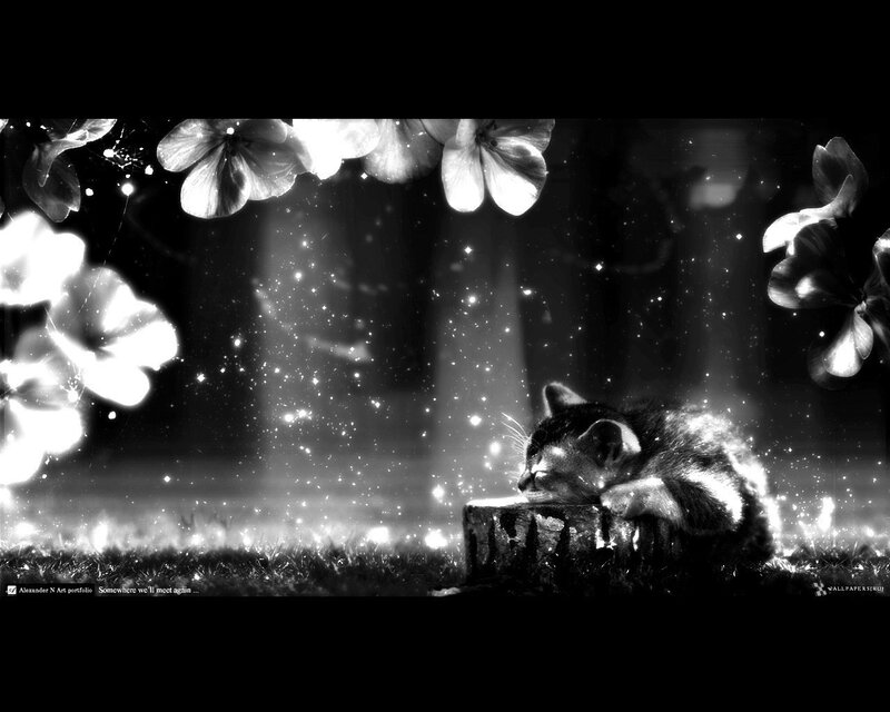 kitten under glowing flowers