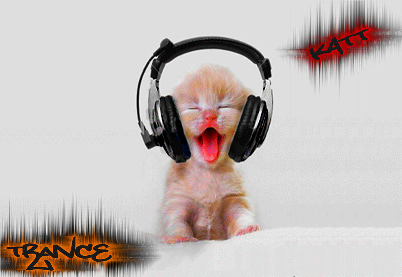 Kitten Wearing Headphones