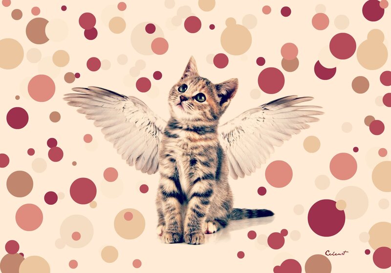 Kitten with Angel Wings — Beige