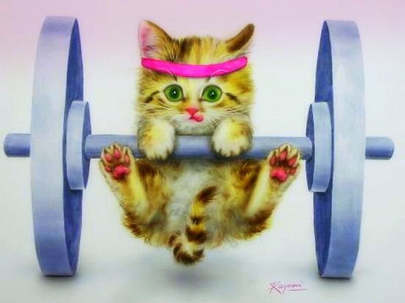 Kitten with Barbell