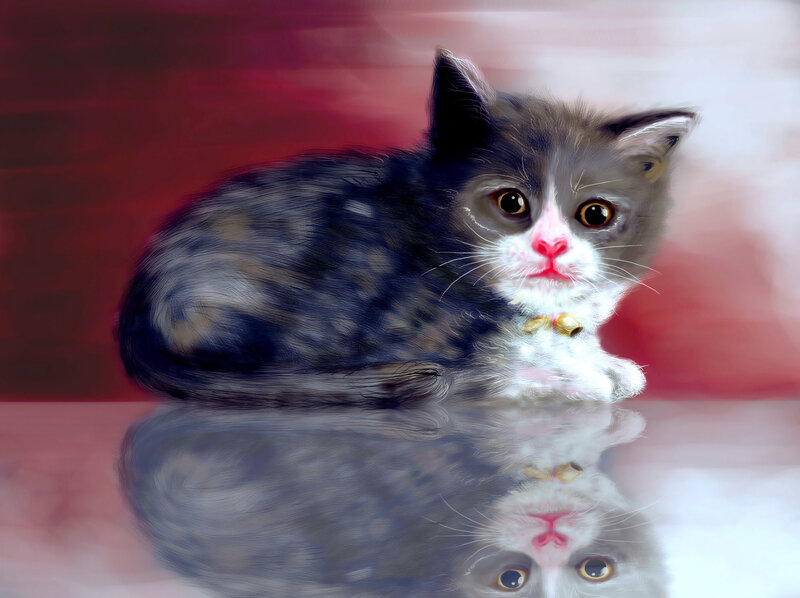 Kitten with Bell