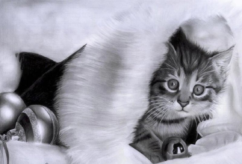 Kitten with Bells
