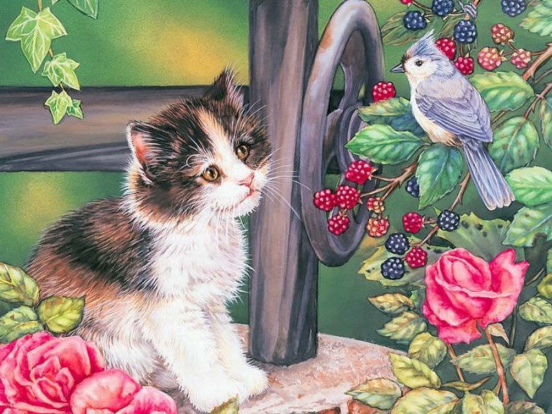 kitten with bird and berries