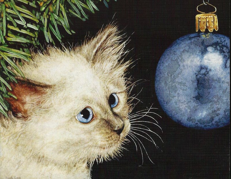 Kitten with Blue Eyes — Curious