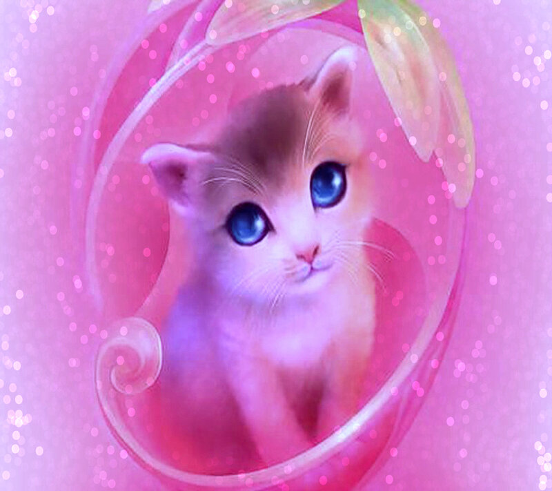 Kitten with Blue Eyes — Pink, Dreamy, Digital Art