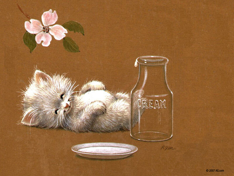 Kitten with cream bottle