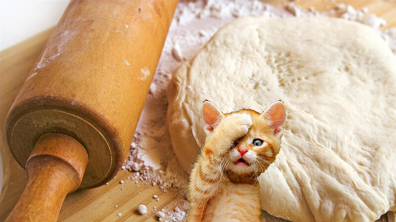 Kitten with Dough