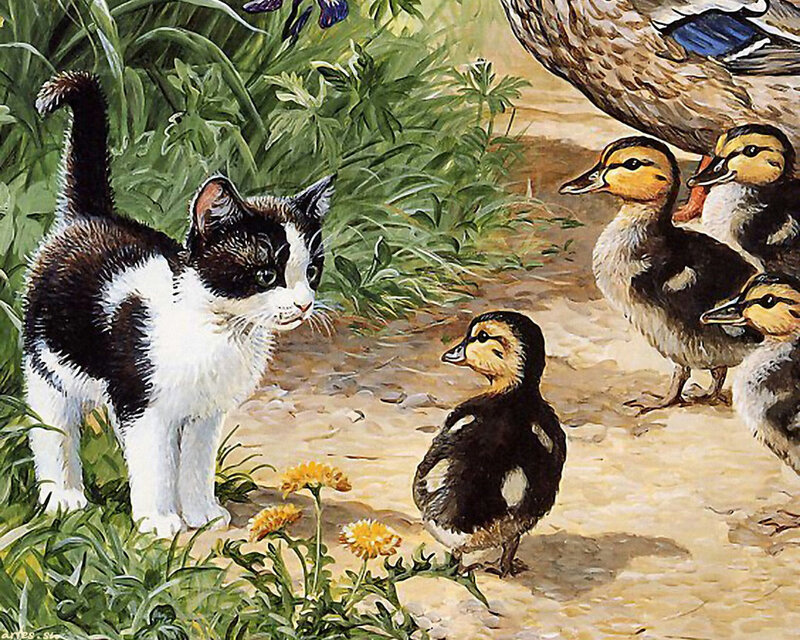 Kitten with Ducklings — Green, Peaceful