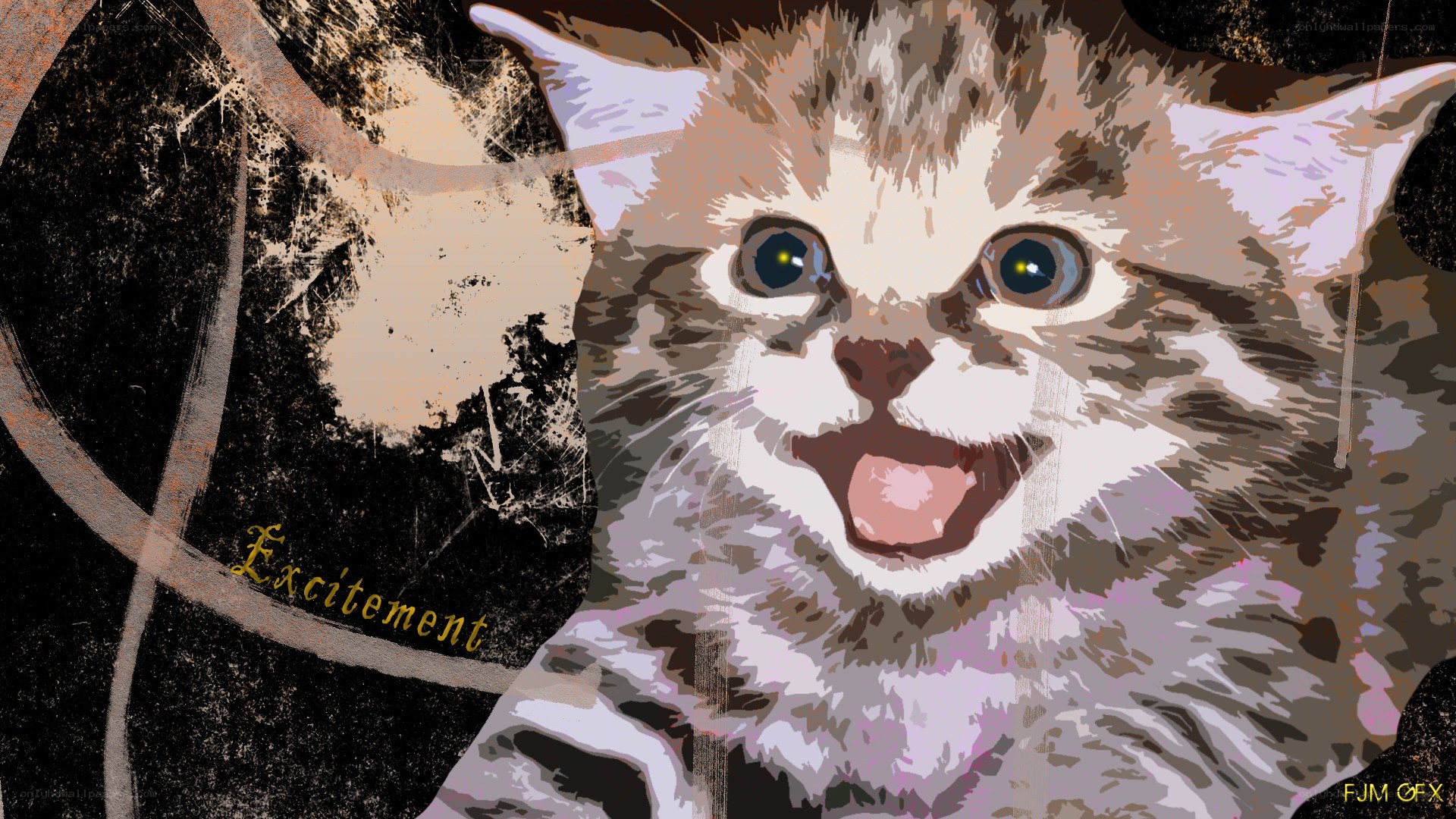 kitten with excited expression