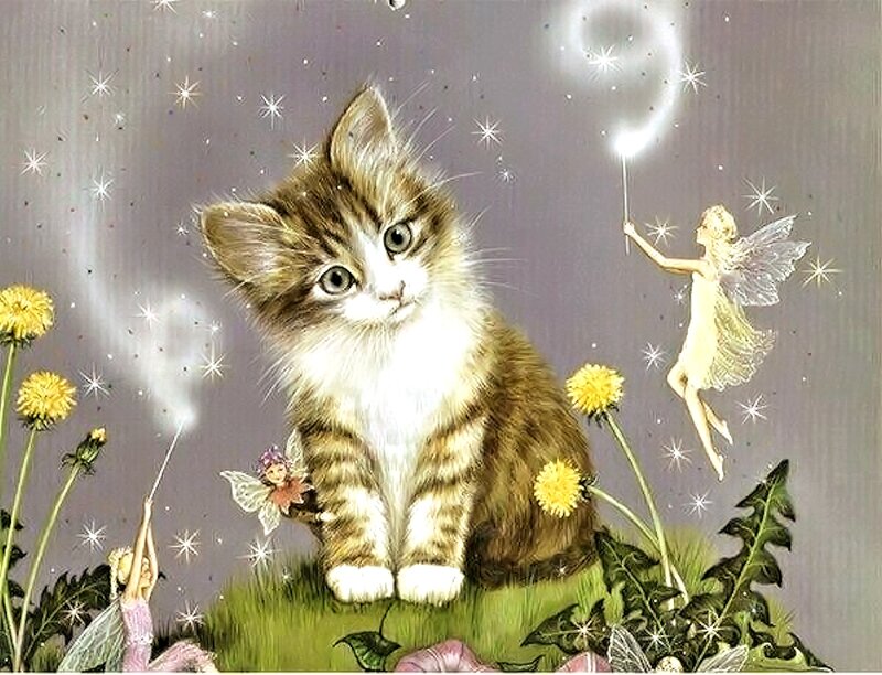 Kitten with Fairies