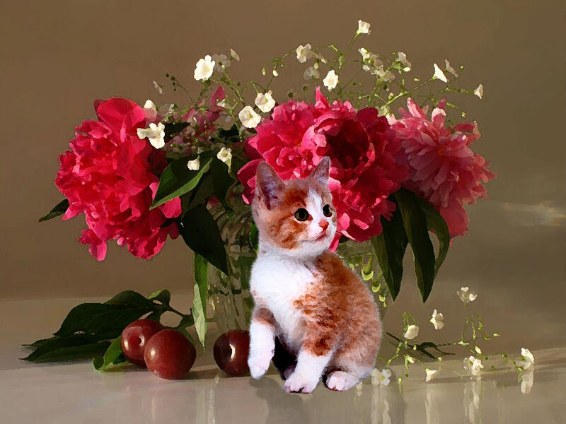 Kitten with Flowers — Red, Calm, Digital Art