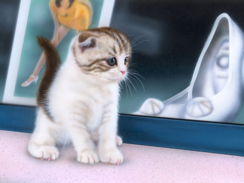 Kitten with Folded Ears — White