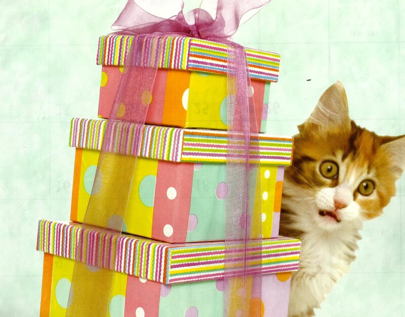 Kitten with Gift Boxes