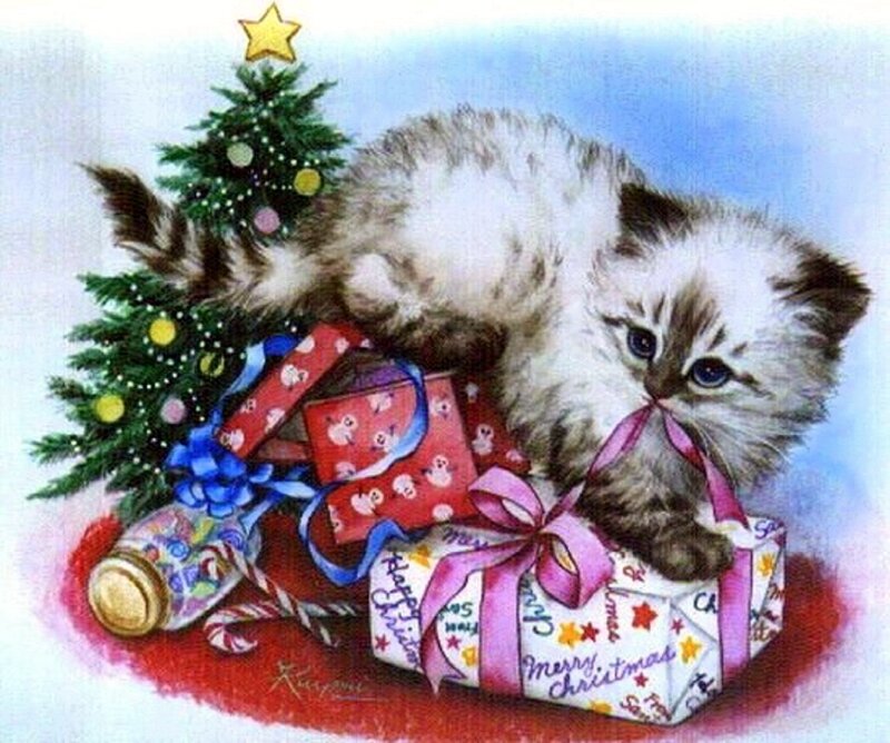 Kitten with Gifts