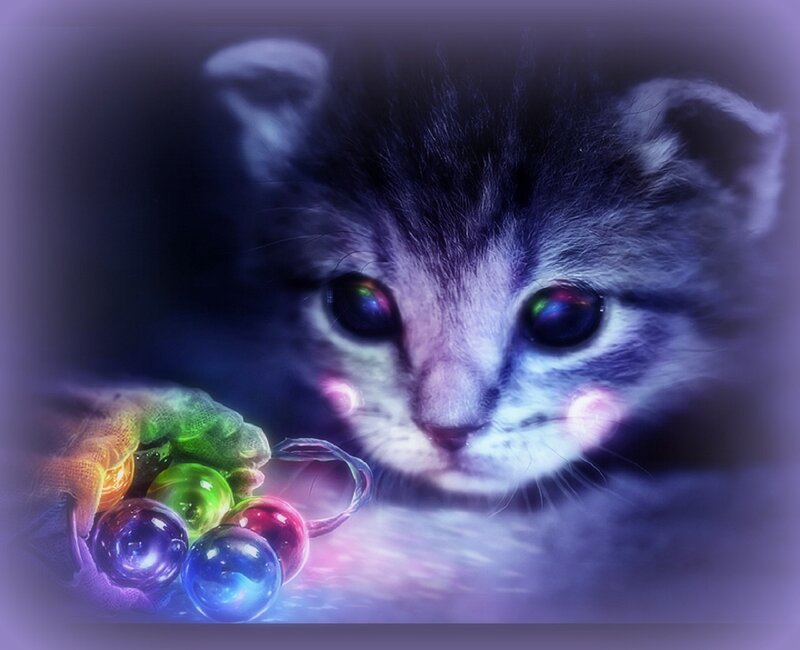 Kitten with Glowing Balls