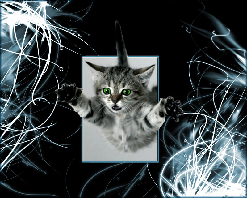 kitten with glowing green eyes